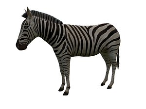 3D zebra games model