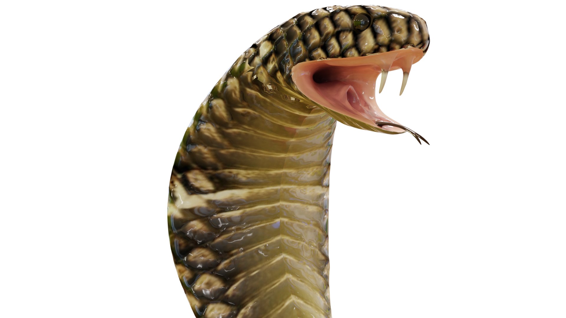 Animated Eastern Brown Snake 3D model - TurboSquid 1950264