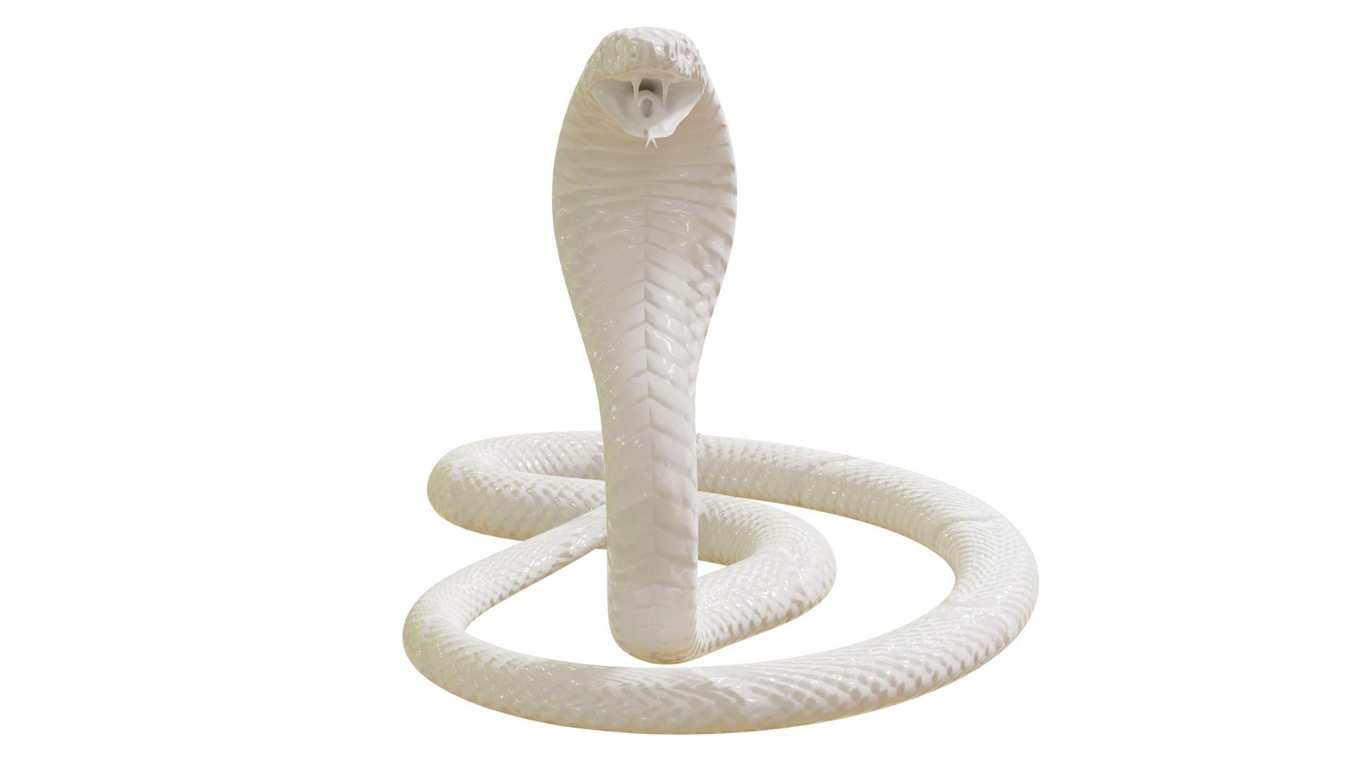 Snake 3D model - TurboSquid 1673842