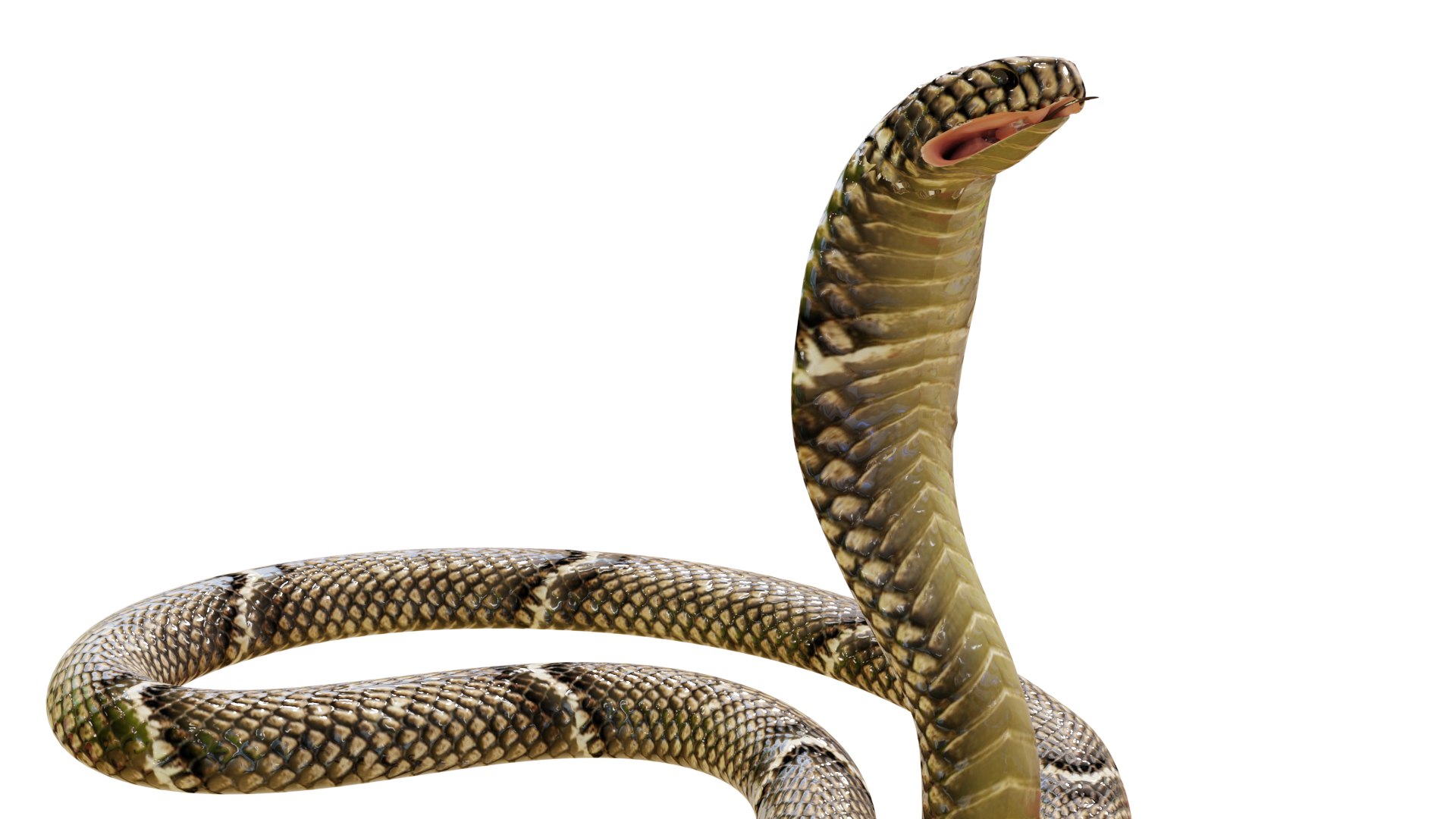 Cobra, 3d Snake, Snake 3d png transparente grátis