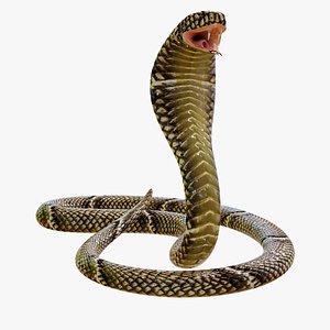 snake 3D model