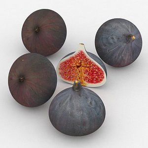 fig fruit 3D model