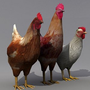 3ds max rooster hens