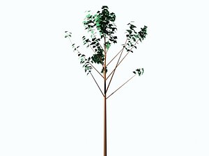 3d trees
