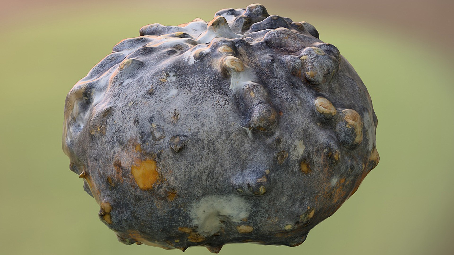 rotting pumpkin 8k 3d max