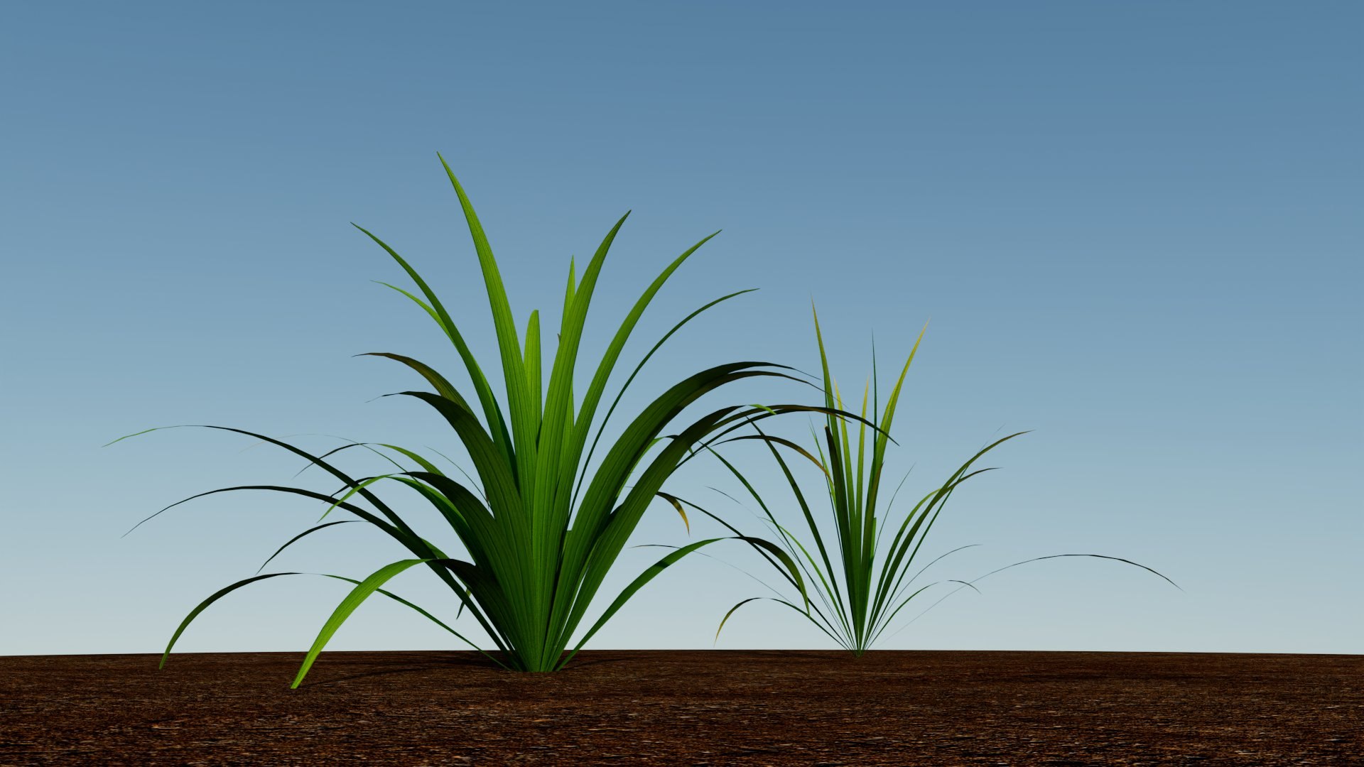 Grass 3D model https://p.turbosquid.com/ts-thumb/Sb/YhPvZe/1y/grass_03/jpg/1784933651/1920x1080/fit_q87/0f32ecc2dcabc49bafb92fbc5b9e1f5bb53e9195/grass_03.jpg