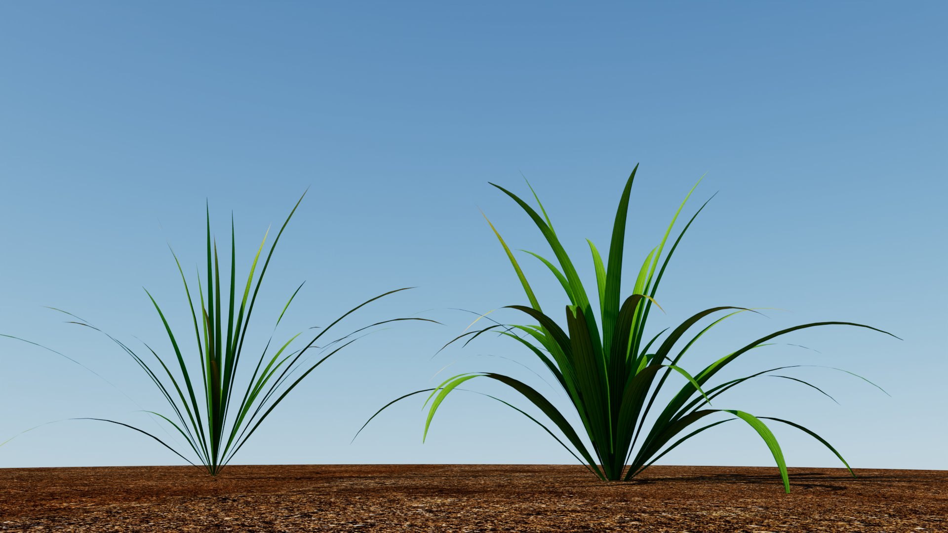 Grass 3D model https://p.turbosquid.com/ts-thumb/Sb/YhPvZe/IE/grass_05/jpg/1784933652/1920x1080/fit_q87/8f7c5f61ef696740fa6293e458ed826dcea463b0/grass_05.jpg
