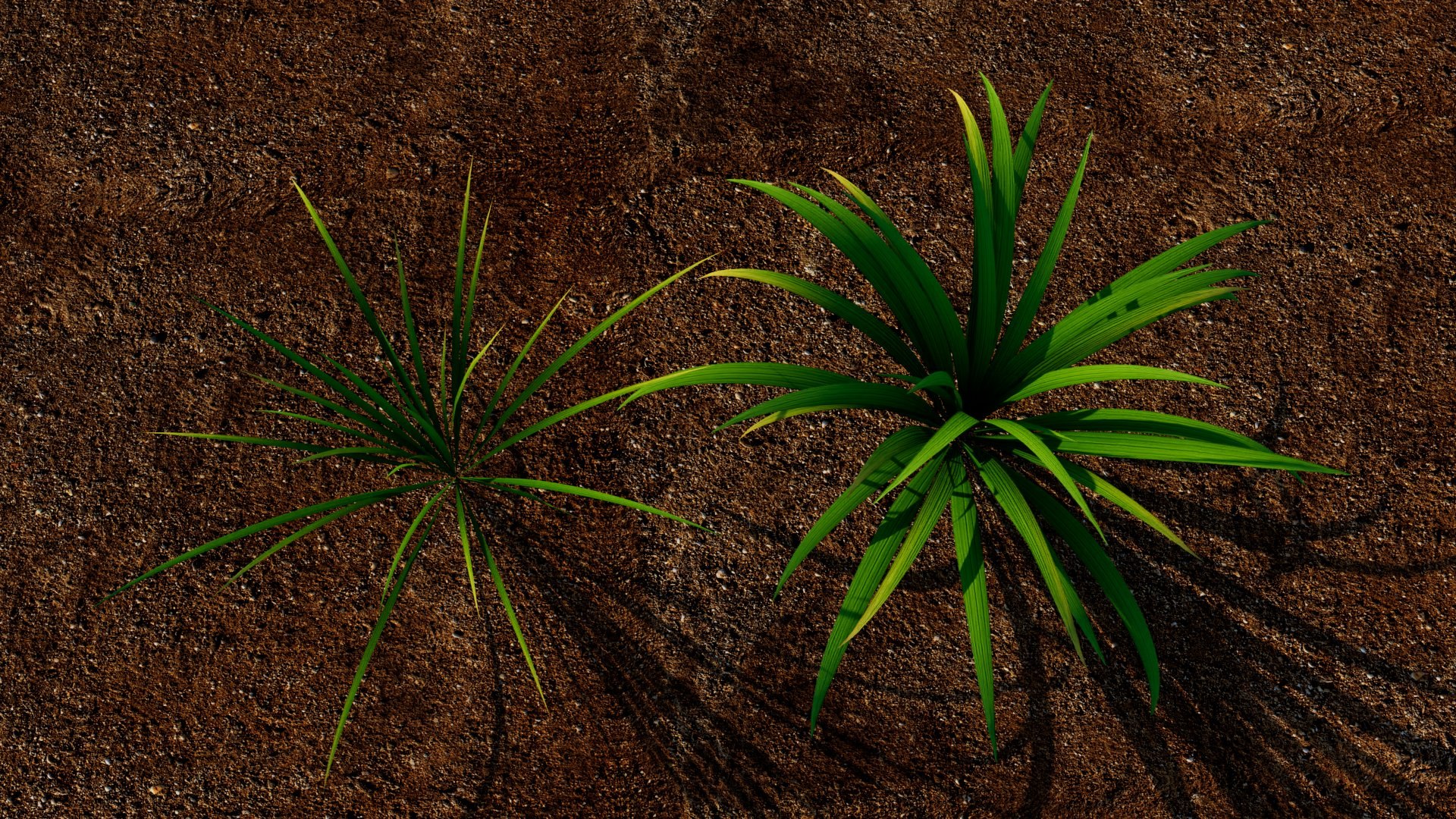 Grass 3D model https://p.turbosquid.com/ts-thumb/Sb/YhPvZe/RW/grass_04/jpg/1784933652/1920x1080/fit_q87/2366a63dbe17c7e382cb3cf77b2575a889fb2e8c/grass_04.jpg