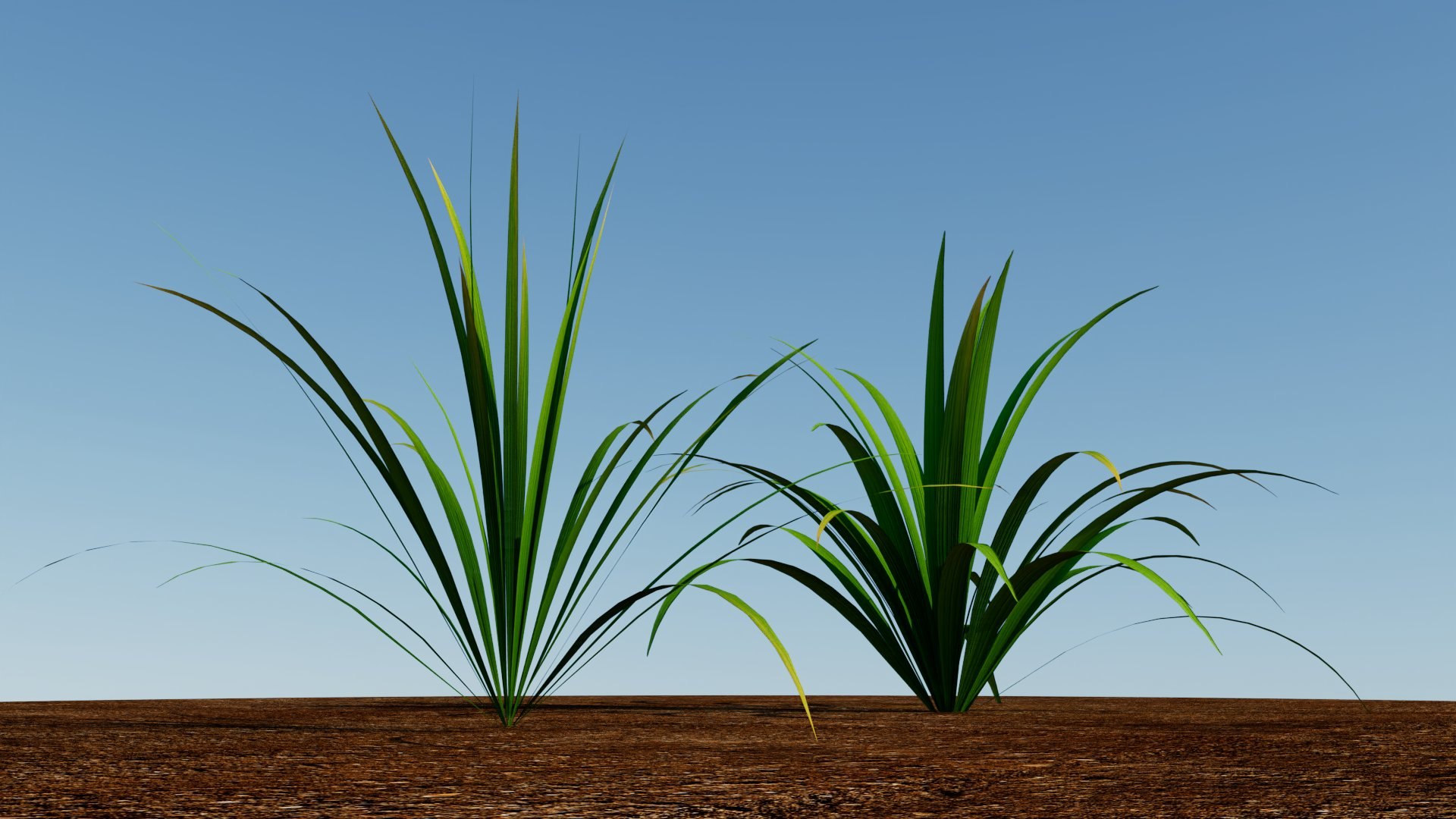 Grass 3D model https://p.turbosquid.com/ts-thumb/Sb/YhPvZe/kj/grass_02/jpg/1784933650/1920x1080/fit_q87/a41938e0b8831279b1416f30b9e28eeb85256c3f/grass_02.jpg
