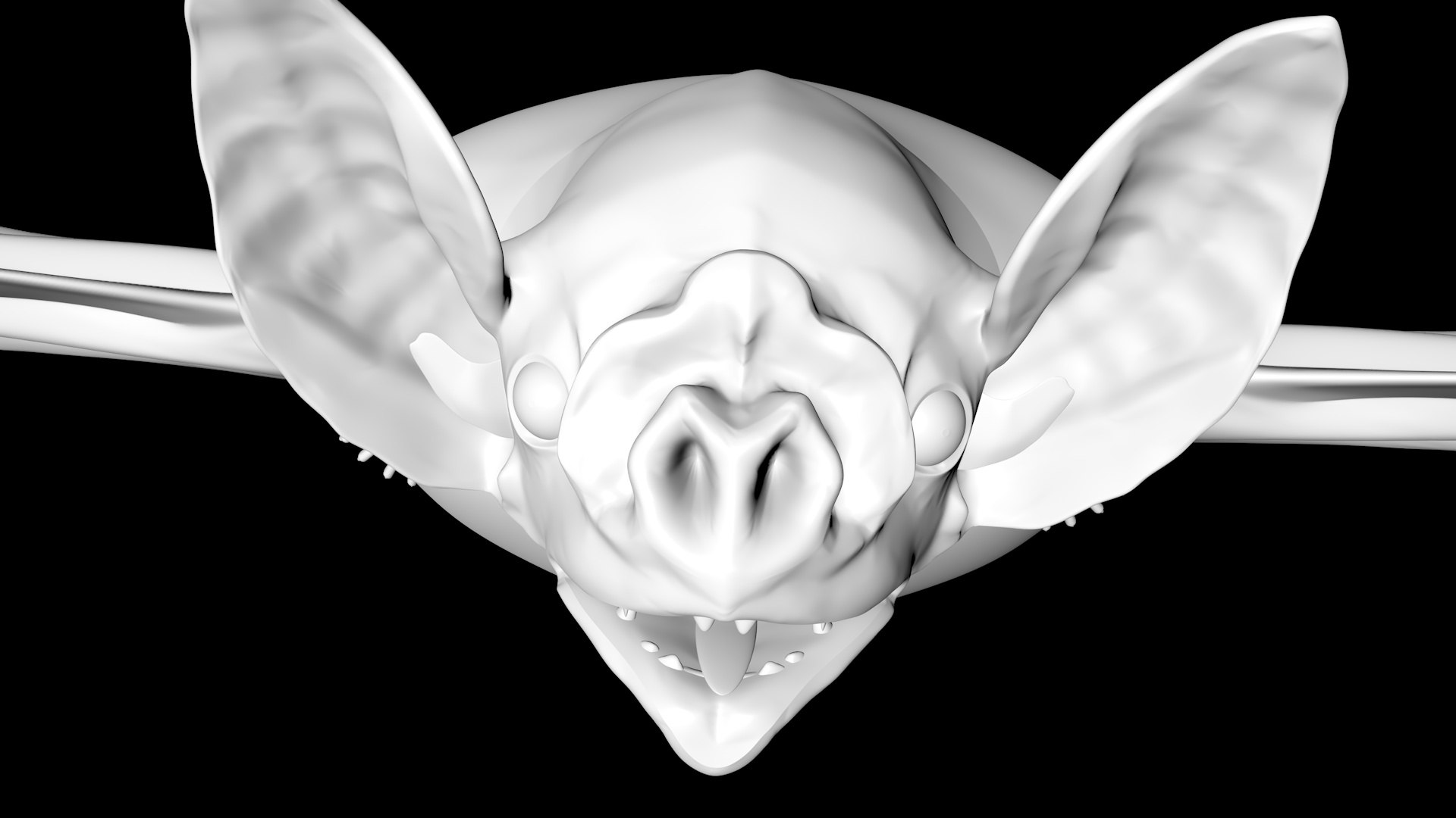 3D Vampire Bat Model - TurboSquid 1690052