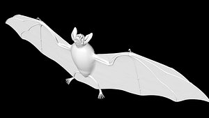 3D vampire bat model