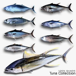 Tuna Collection