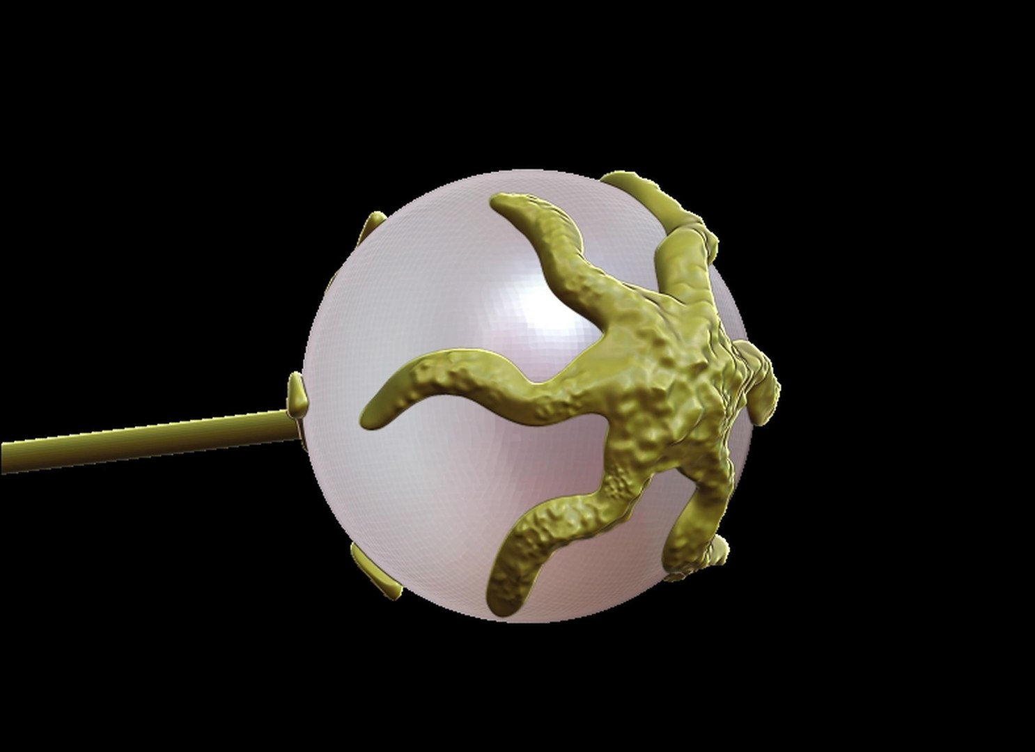 3D Organic Form Earrings model https://p.turbosquid.com/ts-thumb/Sb/tQspvP/h8/bpr_render11/jpg/1742218518/1920x1080/fit_q87/dfe91942c69b4b3357740e55b69671d5898b67d6/bpr_render11.jpg