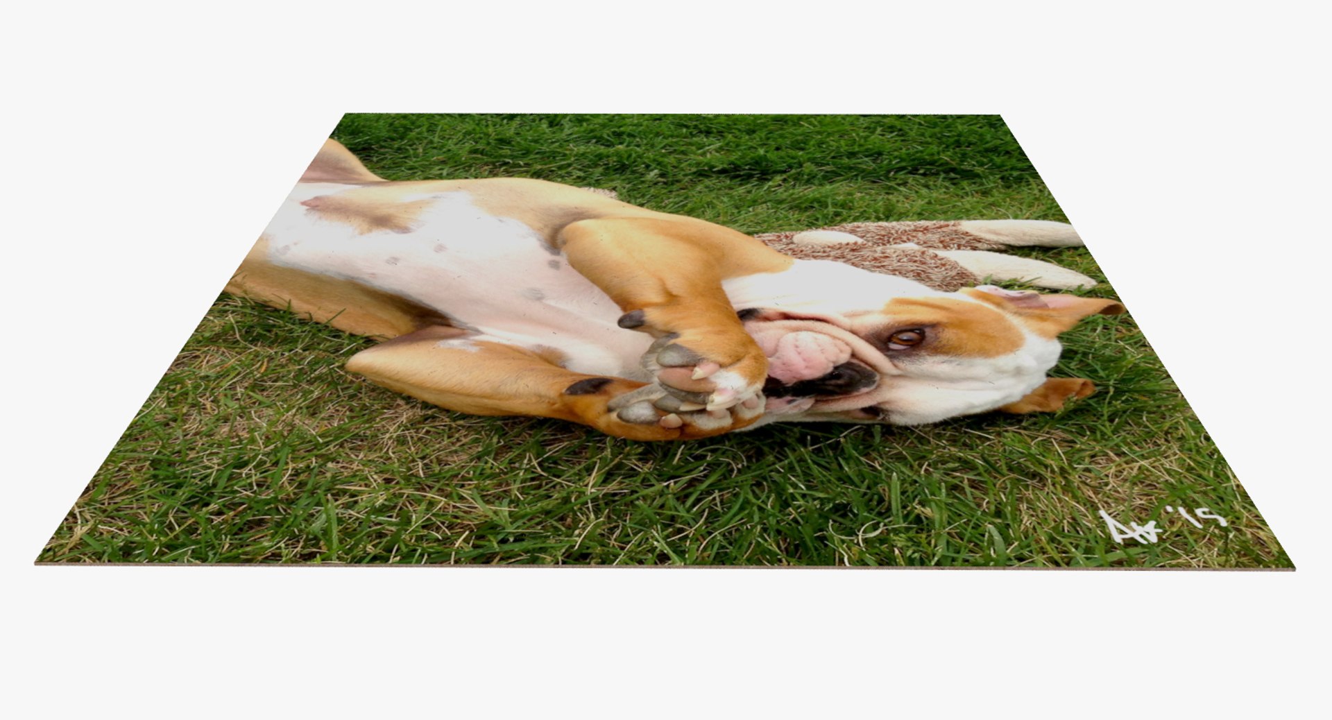 3d puzzle pieces model https://p.turbosquid.com/ts-thumb/Sb/tcHy5F/K8dH6me7/puzzle_ss002/jpg/1432993932/1920x1080/fit_q87/2dfe264585f72bc32972d41459a30c3e46e5670e/puzzle_ss002.jpg