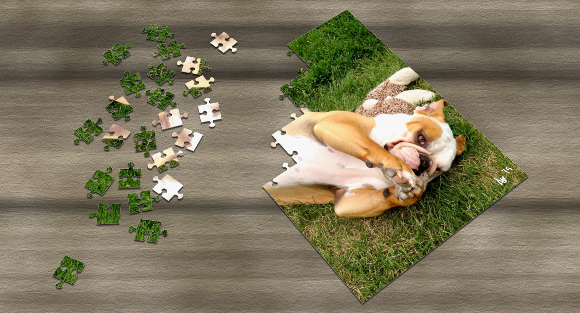 3d puzzle pieces model https://p.turbosquid.com/ts-thumb/Sb/tcHy5F/qS3R6JvV/puzzle_sigcwcon002/jpg/1432993932/1920x1080/fit_q87/fa130b9fde4d0442fe2978b70c2acb7410a1d648/puzzle_sigcwcon002.jpg
