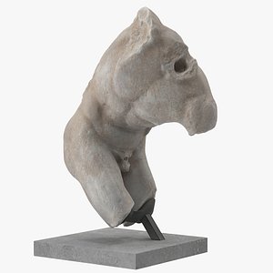 discobolus torso 3D
