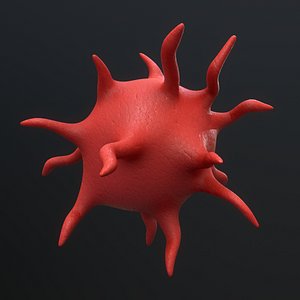 platelet thrombocyte model
