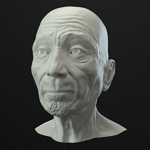 3D model old man head