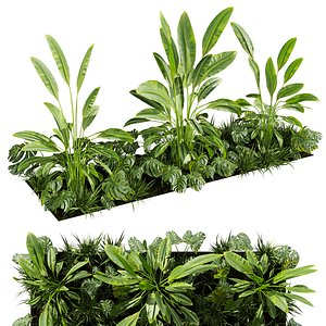3D model Collection plant vol 819 - banana - monstera - grass - garden