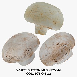 White Button Mushroom Collection 02 - 3 models RAW Scans 3D