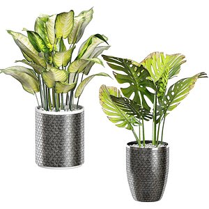 3D potted plants 74