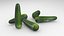 Vegetable Zucchini Courgette