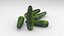 Vegetable Zucchini Courgette