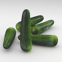 Vegetable Zucchini Courgette