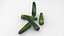 Vegetable Zucchini Courgette