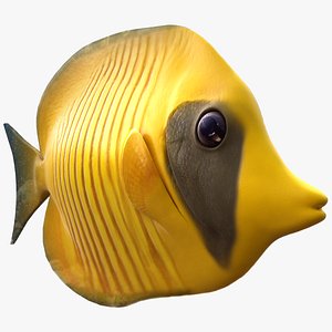 3d yellow butterfly fish