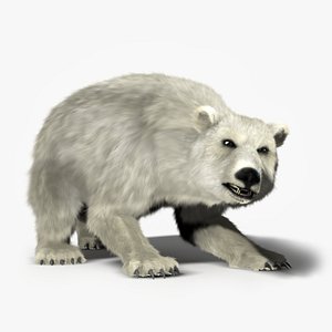 max polar bear rigged -