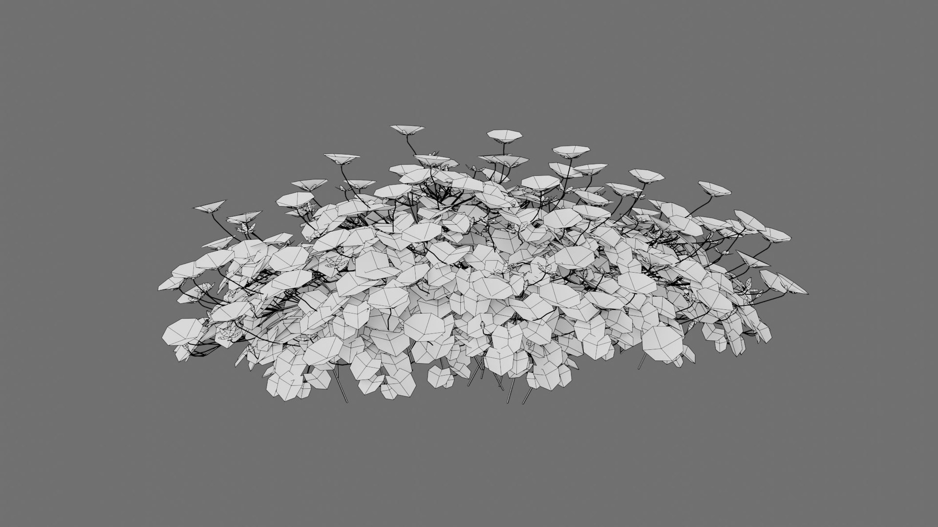 3D Geranium Lancastriense model https://p.turbosquid.com/ts-thumb/Se/9g81Br/6m/filaire01/jpg/1750943303/1920x1080/fit_q87/f5428338491907541b5c5da68cc516746267bcf7/filaire01.jpg