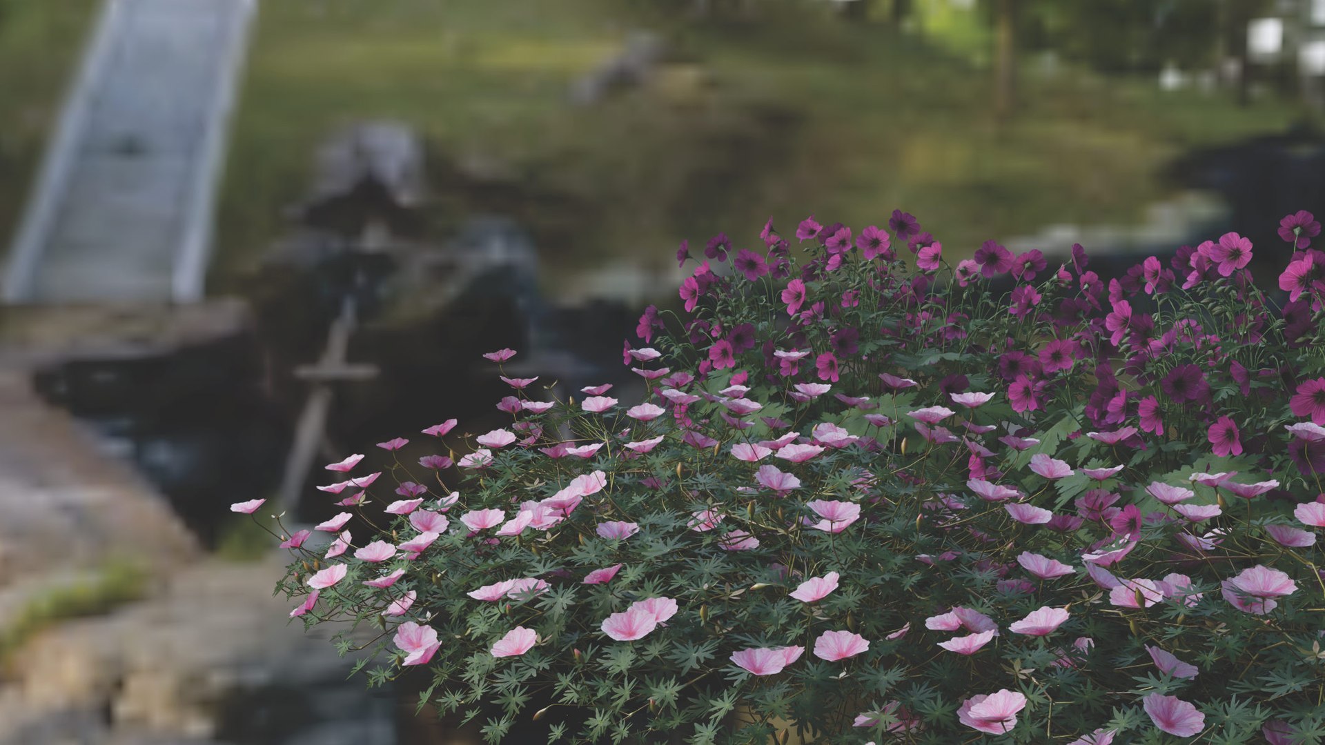 3D Geranium Lancastriense model https://p.turbosquid.com/ts-thumb/Se/9g81Br/Sm/compo01/jpg/1750943303/1920x1080/fit_q87/981822f55cf2956b96c5f3b5102b8780a9590d50/compo01.jpg