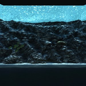 Public Aquarium