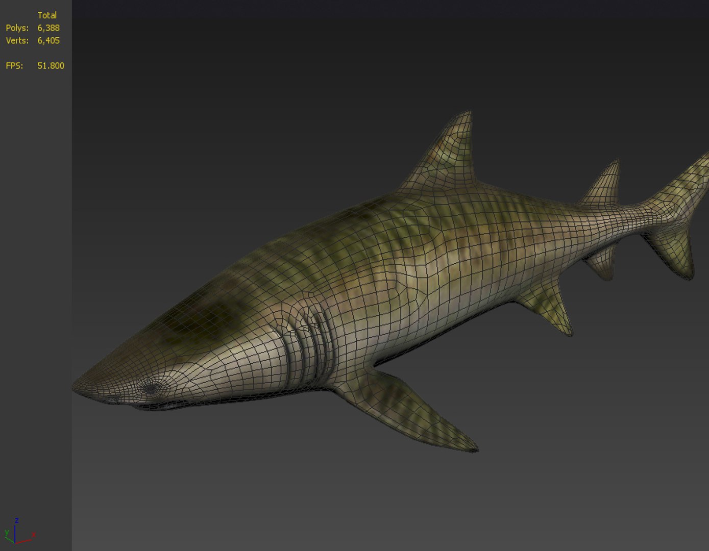 Tiger skin shark weasel 3D TurboSquid 1617083
