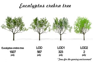 3D landscape trees