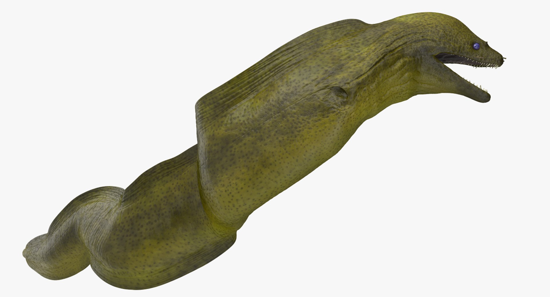 Attacking Murena 3D Model preview