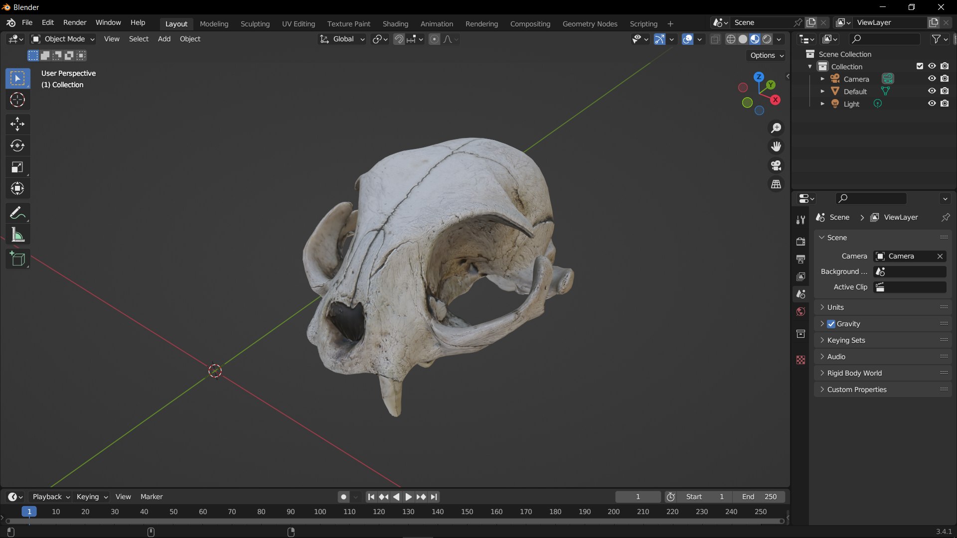 3D Real Cat Skull Scan - TurboSquid 2077682