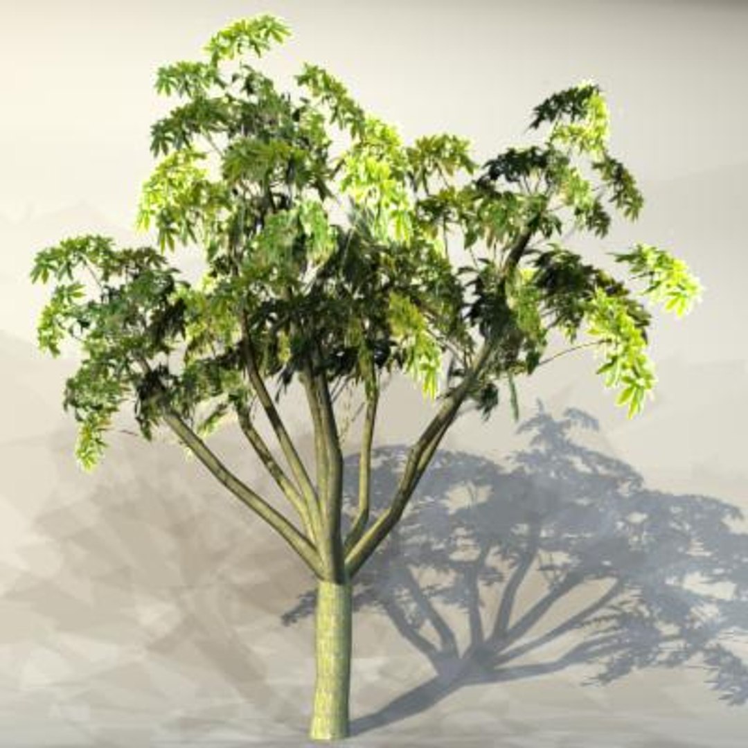 Pc Tree 3d Max