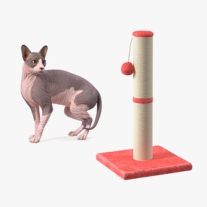 Sphynx Cat with Cat Scratching Post Collection 3D model