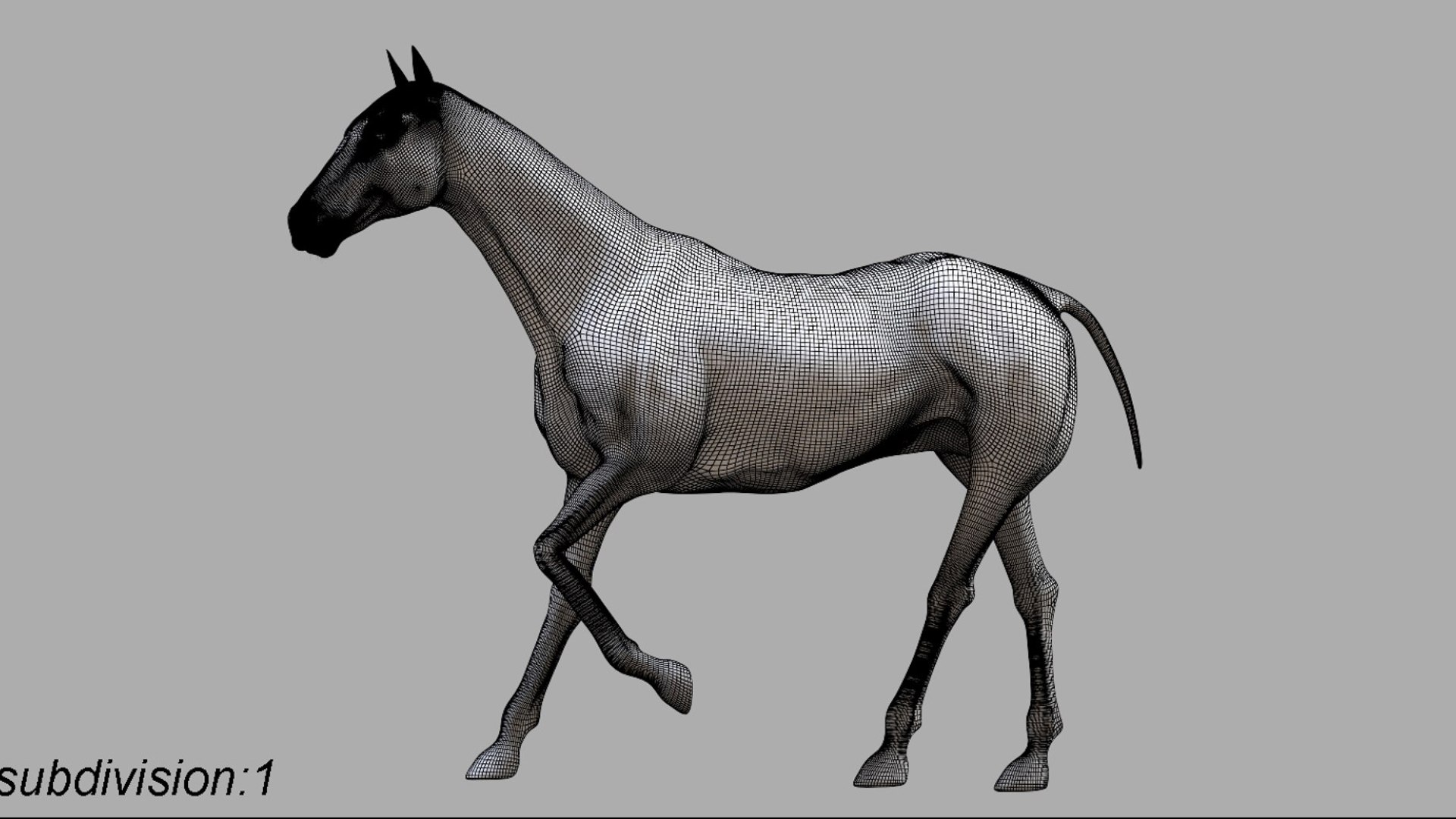 Horse Anatomy 3D model https://p.turbosquid.com/ts-thumb/Se/iYF0Bv/0d/22/jpg/1756176101/1920x1080/fit_q87/580522271025df2e65408799932b747353de0cf1/22.jpg
