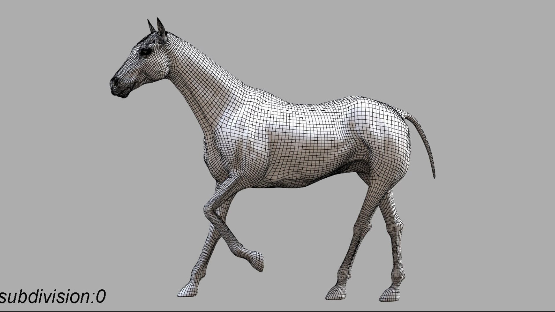 Horse Anatomy 3D model https://p.turbosquid.com/ts-thumb/Se/iYF0Bv/3l/21/jpg/1756176101/1920x1080/fit_q87/7b5d81f6c7c86417752ceace447131c51dd39552/21.jpg
