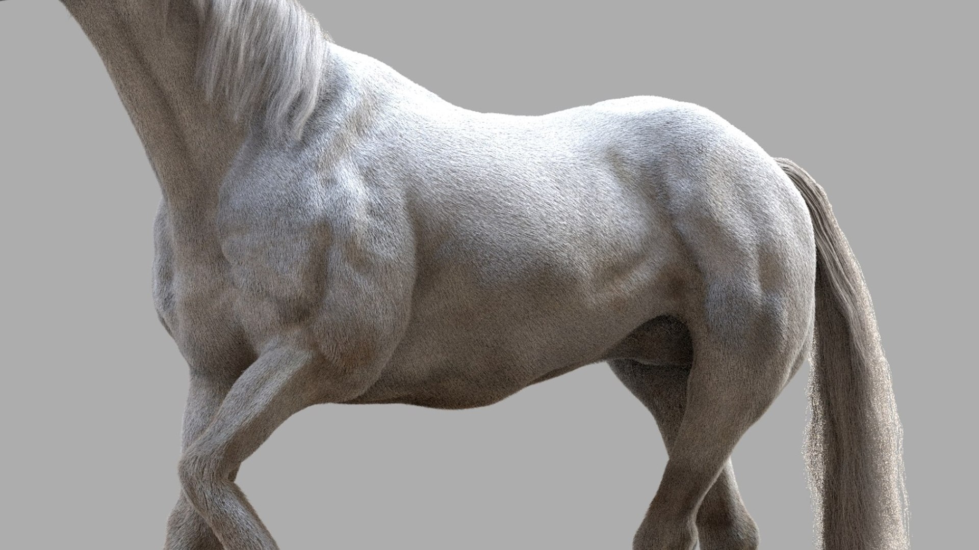 Horse Anatomy 3D model https://p.turbosquid.com/ts-thumb/Se/iYF0Bv/RJ/19/jpg/1756176100/1920x1080/fit_q87/bef9e76400accb1e43f277592eb8f9030d107b0f/19.jpg