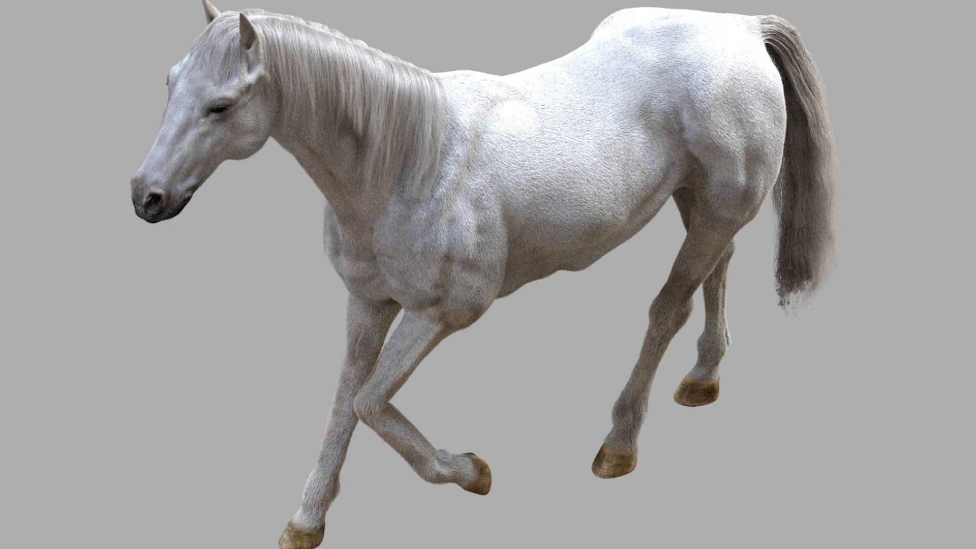 Horse Anatomy 3D model https://p.turbosquid.com/ts-thumb/Se/iYF0Bv/mB/15/jpg/1756176099/1920x1080/fit_q87/3fa60996f3f534879843980d522fc89c907a10b5/15.jpg