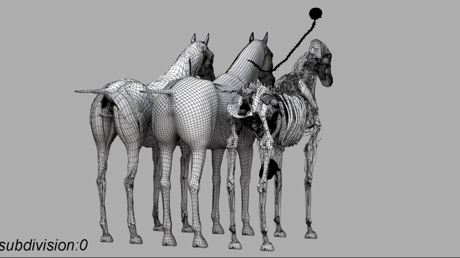 Horse Anatomy 3D model https://p.turbosquid.com/ts-thumb/Se/iYF0Bv/ol/25/jpg/1756176103/1920x1080/fit_q87/c876f14343d4ec4337d74494062e2772675a6dd3/25.jpg