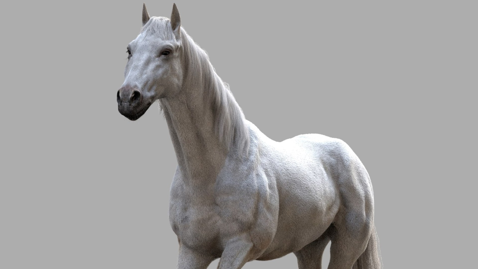 Horse Anatomy 3D model https://p.turbosquid.com/ts-thumb/Se/iYF0Bv/tK/14/jpg/1756176098/1920x1080/fit_q87/88574fa8d8a05de26e2ea38f381f1420a5886559/14.jpg