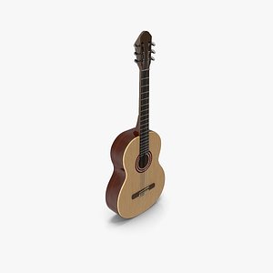 Acoustic Guitar