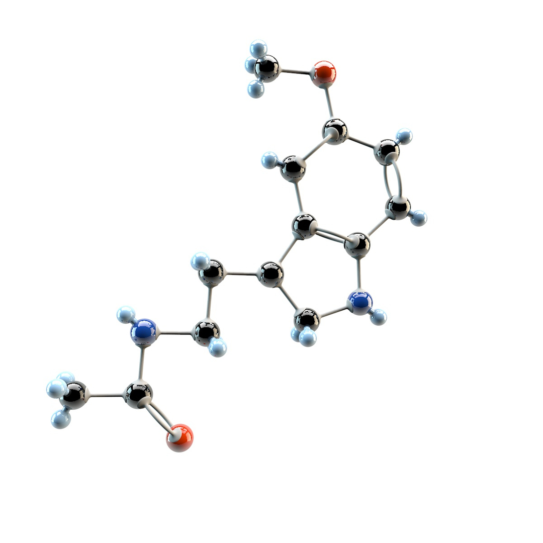 3d Model Melatonin Tryptamine Regulates