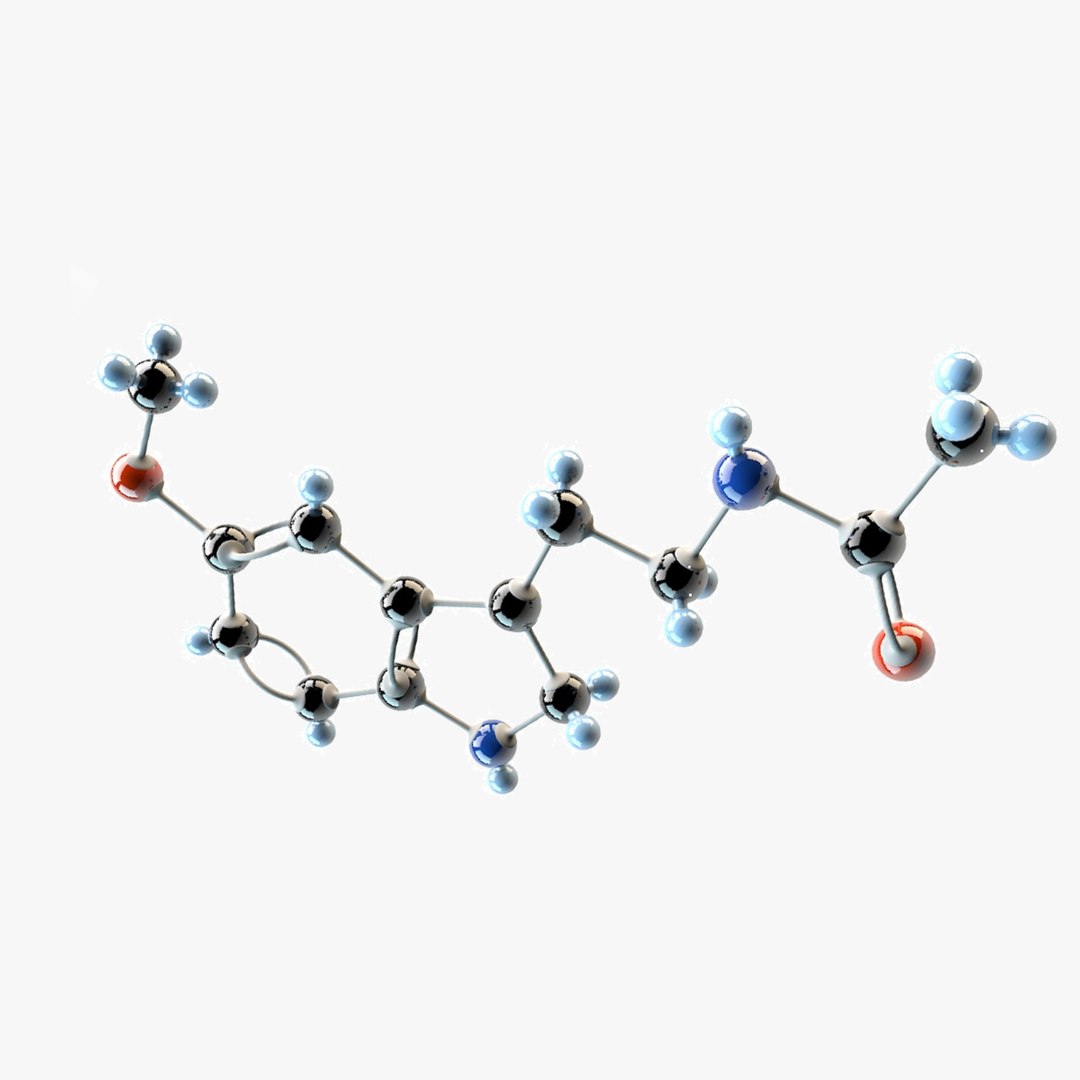 3d Model Melatonin Tryptamine Regulates
