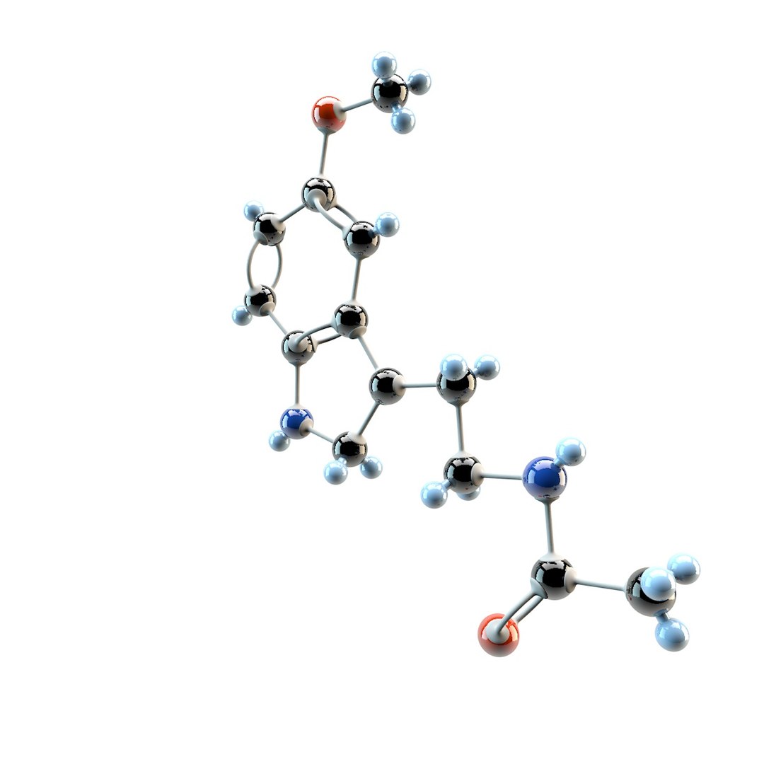 3d Model Melatonin Tryptamine Regulates
